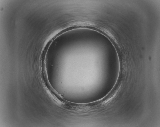 X0000062170981200512161247