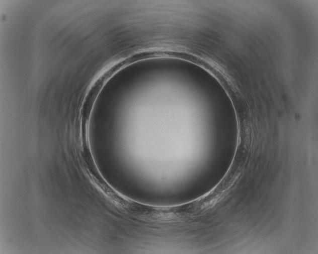 X0000062170982200512161247