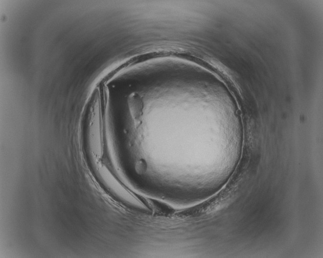 X0000062170983200512161247