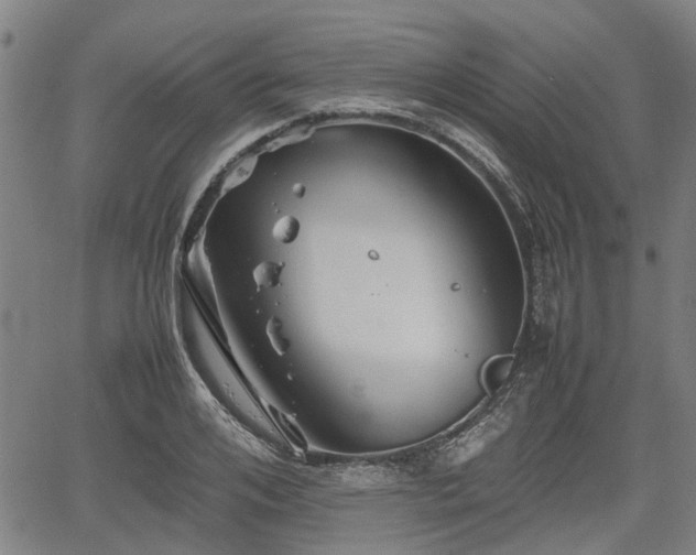 X0000062170984200512161247