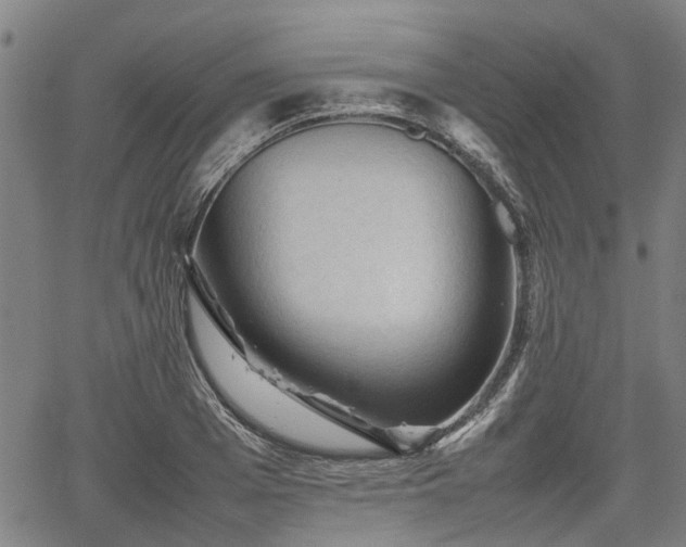 X0000062170985200512161247