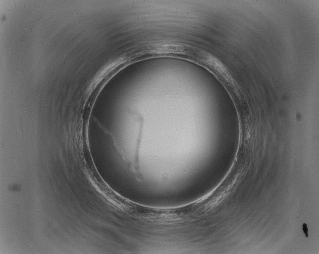 X0000062170986200512161246