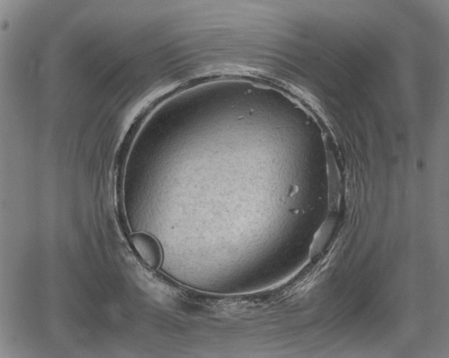 X0000062170987200512161246