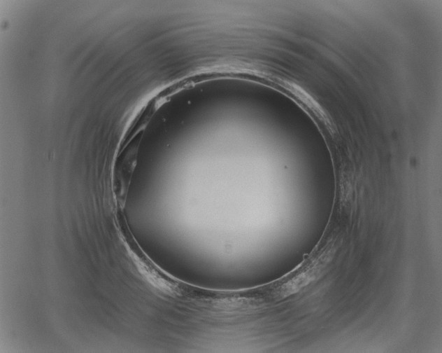 X0000062170988200512161246