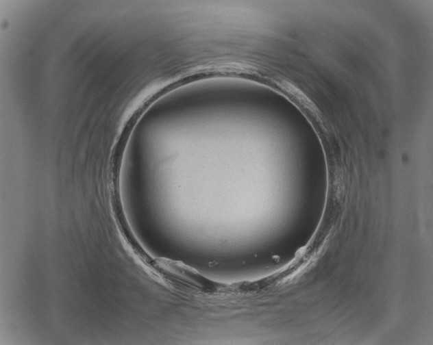 X0000062170989200512161246