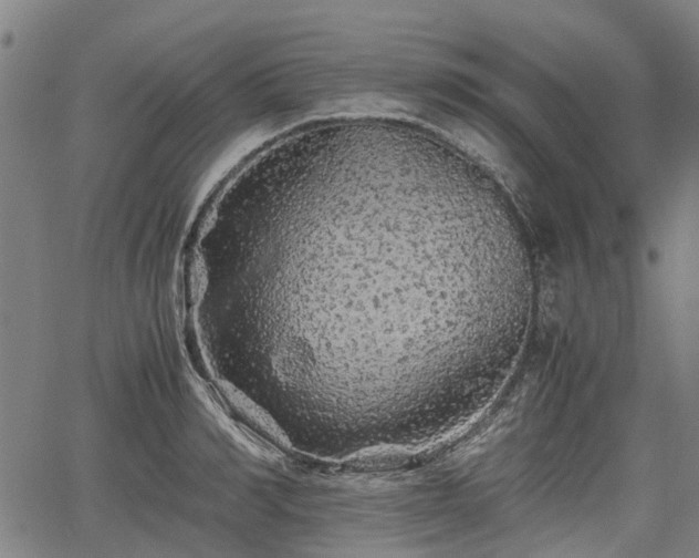 X0000062170990200512161246