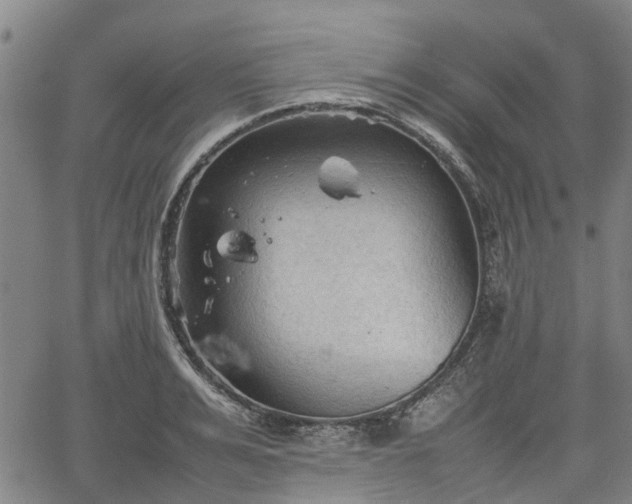 X0000062170991200512161246