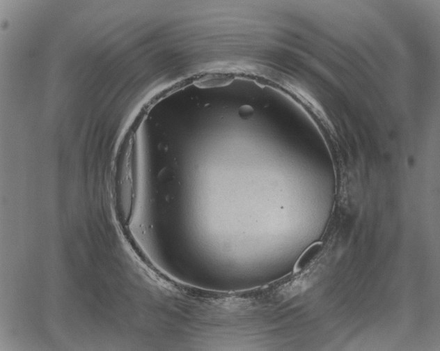 X0000062170992200512161246