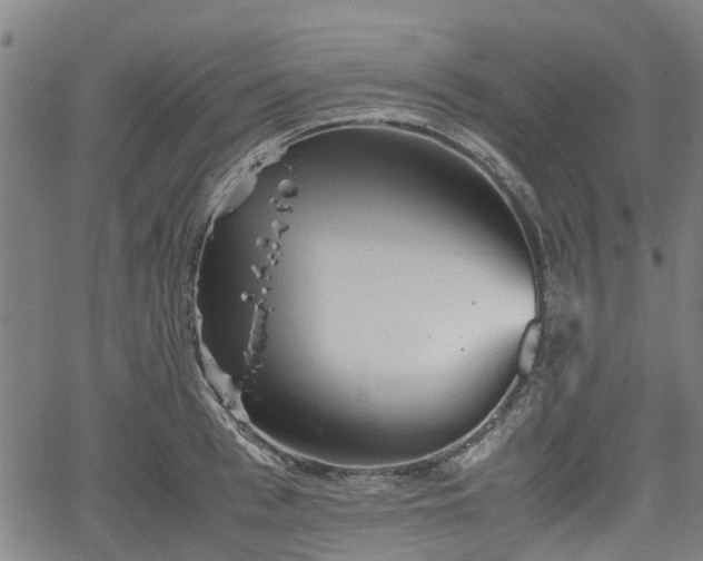 X0000062170993200512161246