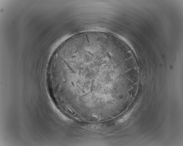 X0000062170995200512161246