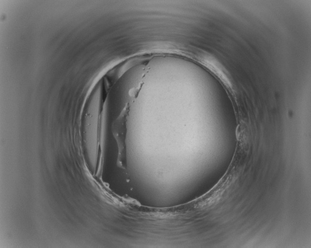 X0000062170996200512161246