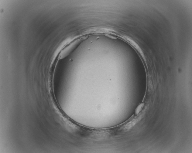 X0000062170997200512161246