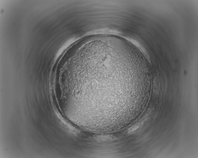 X0000062170998200512161246