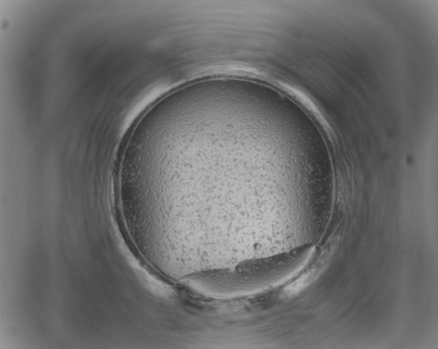 X0000062170999200512161246