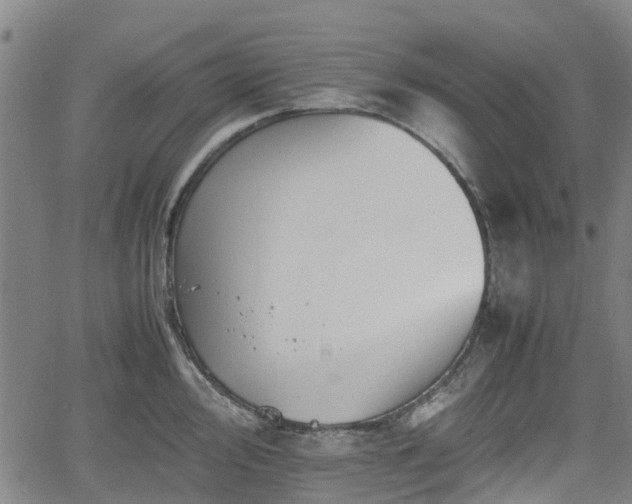 X0000062171000200512161246