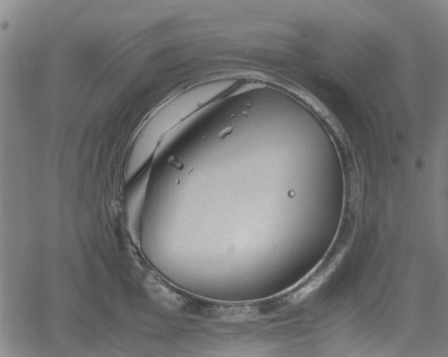 X0000062171001200512161246