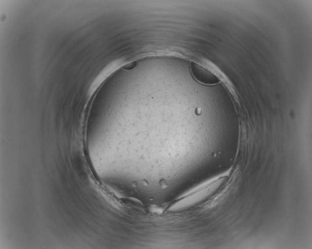 X0000062171002200512161246