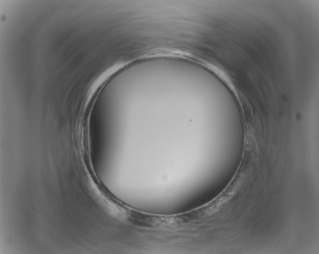 X0000062171003200512161246