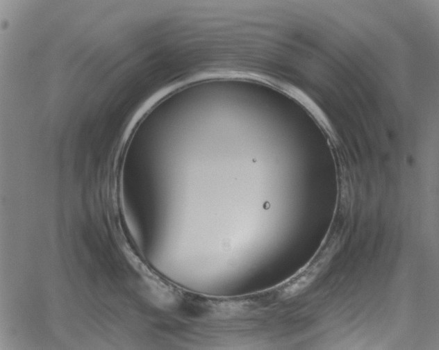 X0000062171004200512161246