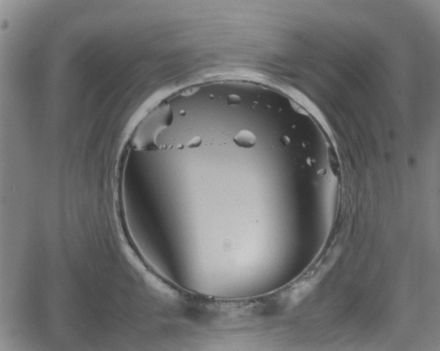 X0000062171005200512161246