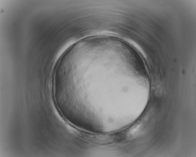 X0000062171007200512161246