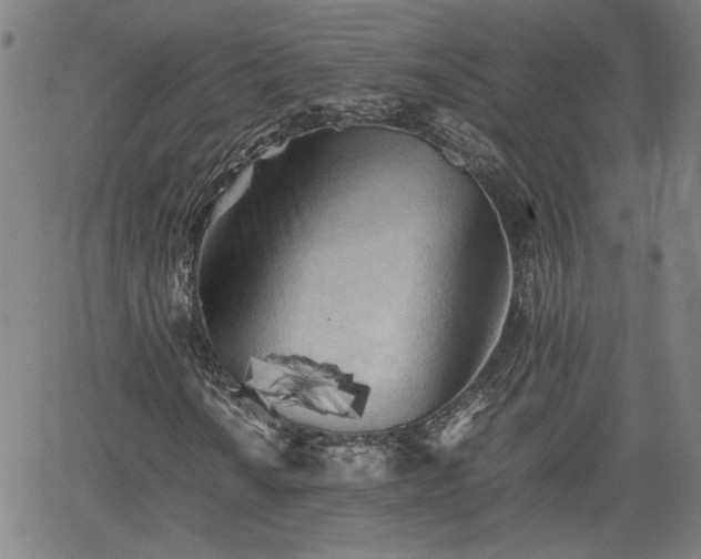 X0000062171010200512161245