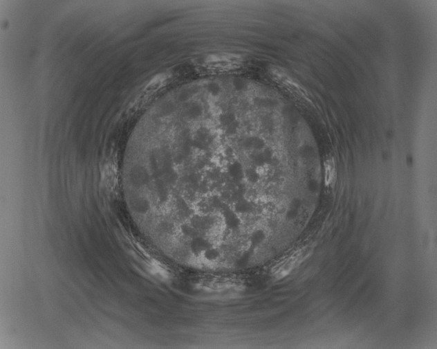 X0000062171011200512161245