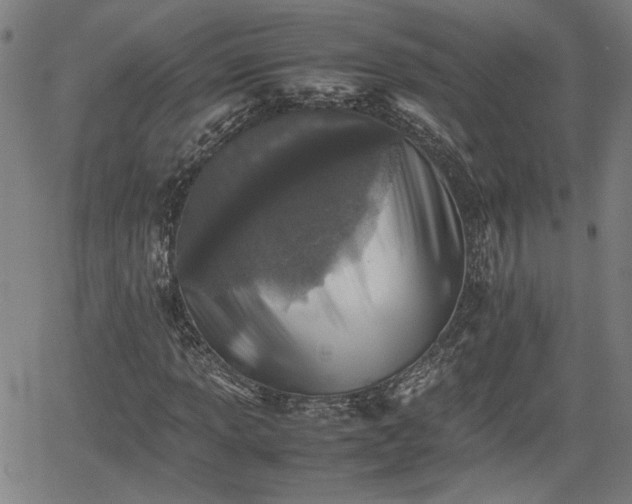 X0000062171013200512161245