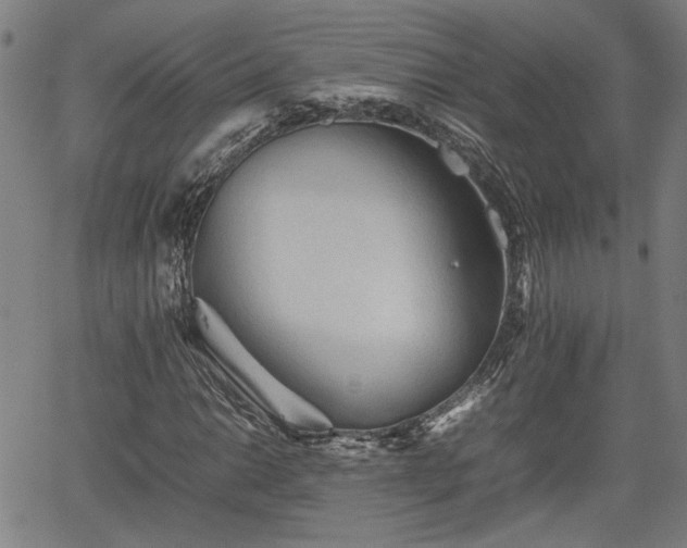 X0000062171014200512161245