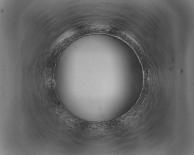 X0000062171015200512161245