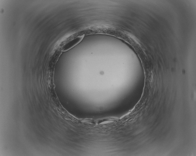 X0000062171016200512161245