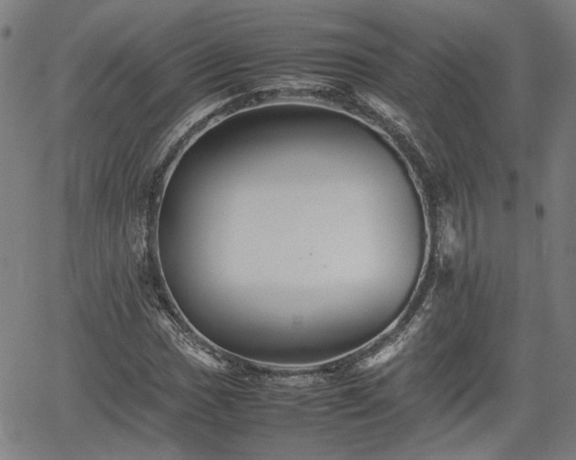 X0000062171017200512161245