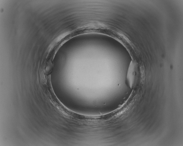 X0000062171018200512161245