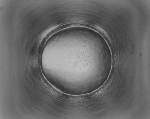 X0000062171019200512161246