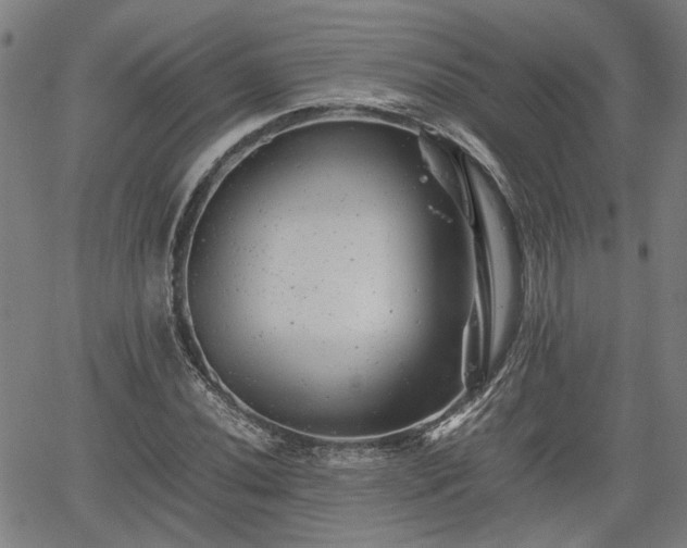 X0000062171020200512161246