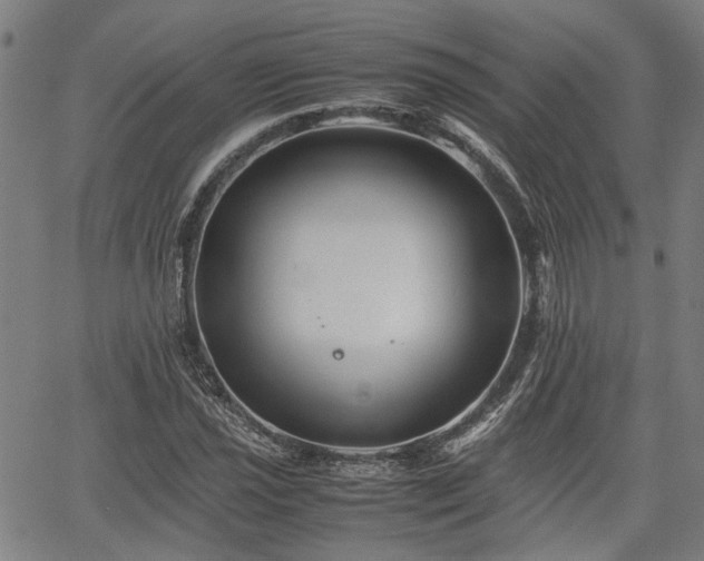 X0000062171021200512161246