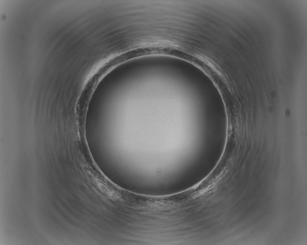 X0000062171022200512161246