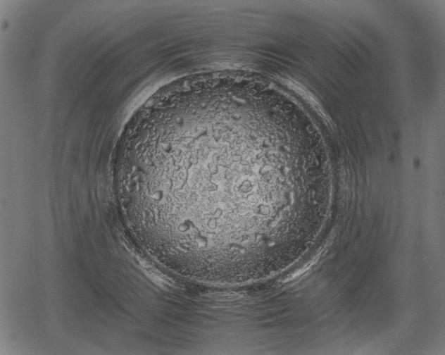 X0000062171023200512161246