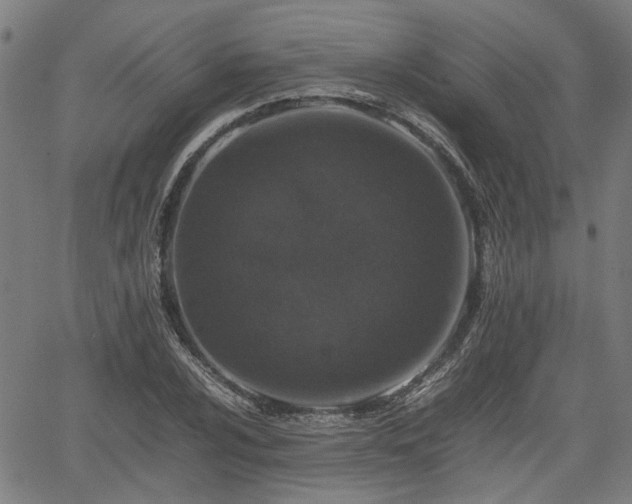 X0000062171024200512161246