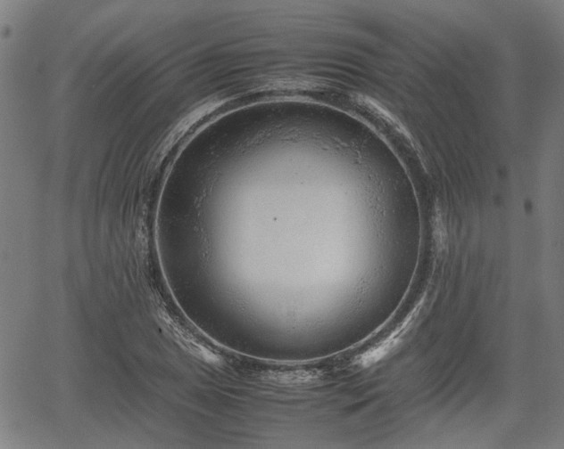 X0000062171025200512161246