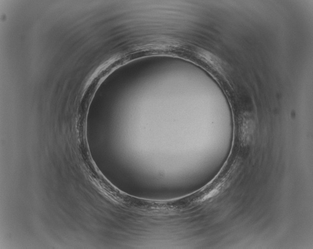 X0000062171026200512161246