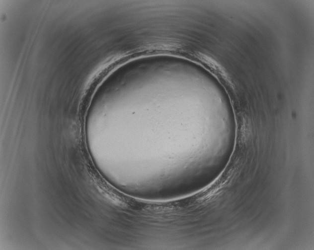 X0000062171027200512161246