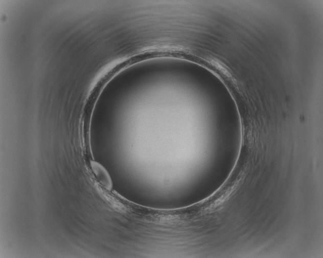 X0000062171030200512161246