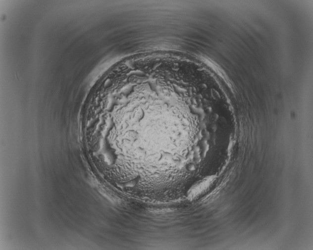 X0000062171031200512161246