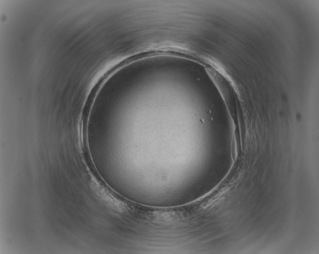 X0000062171032200512161246