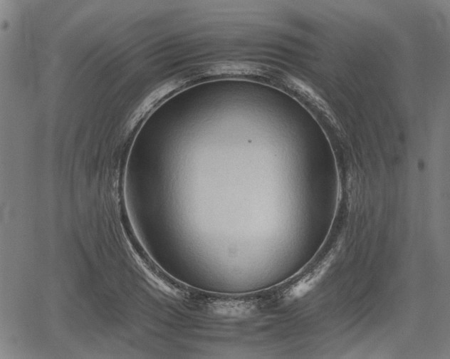 X0000062171033200512161246