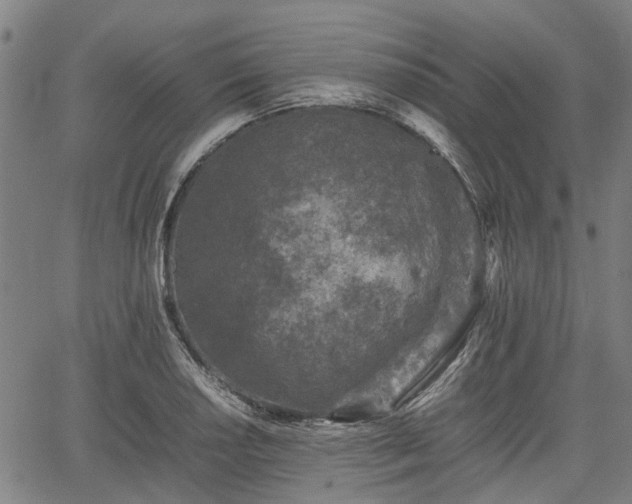 X0000062171034200512161246