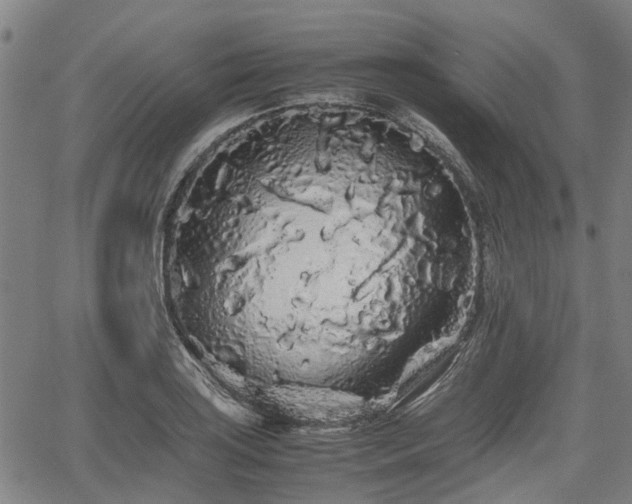 X0000062171035200512161246