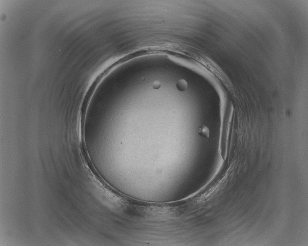 X0000062171036200512161246