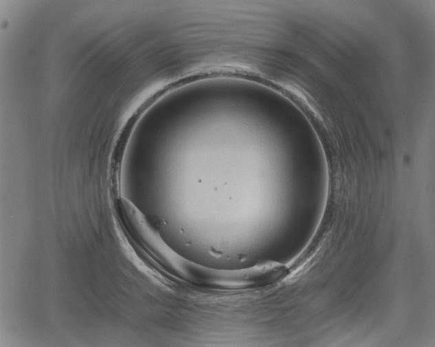 X0000062171038200512161246